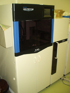 Automated plasmid extraction system